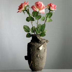 Catastrophe Vase by Maxim Velcovsky, 2007